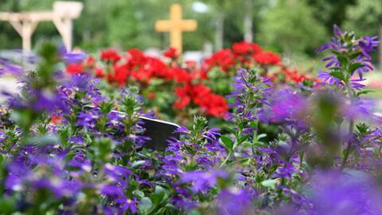 Polizei sucht Zeugen Unbekannte randalieren am Oberen Katholischen Friedhof - 10.000 Euro Schaden