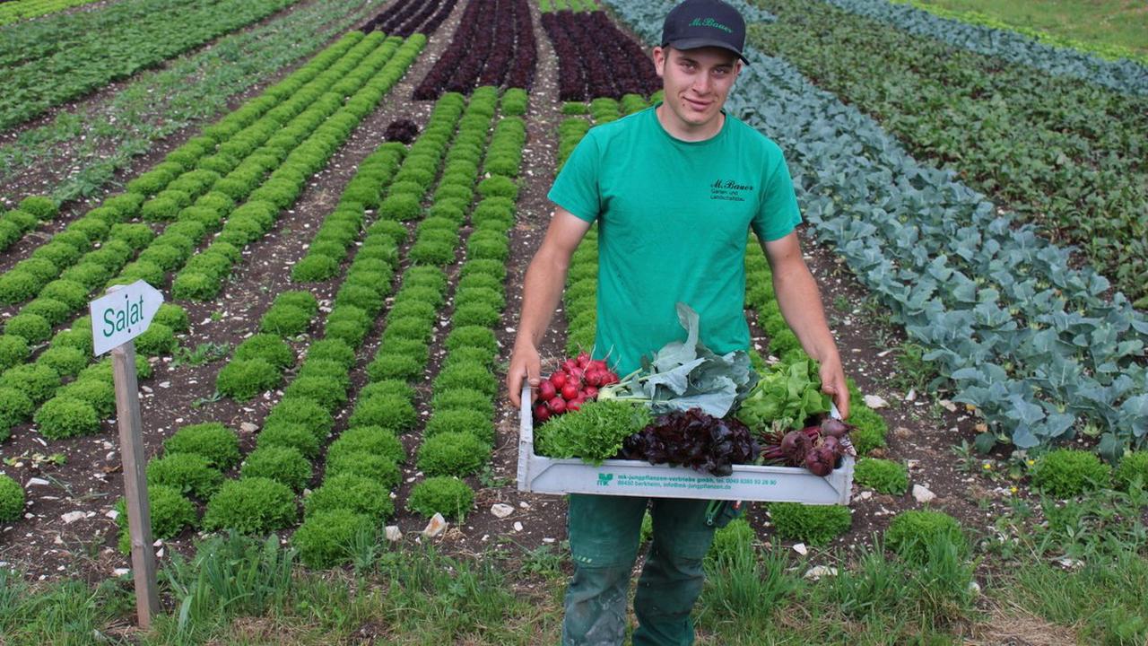 Gesundes Gemüse aus der Region Moritz Bauer betreibt ein Selbstpflückfeld und liefert Gemüsekisten aus