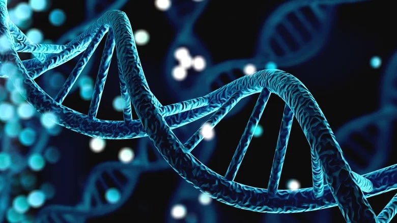 Easy Ways to Help Bring Down Triglyceride Levels