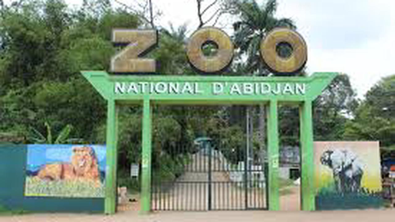 Carrefour du zoo d'Abidjan : allons-nous attendre un drame avant d'agir ?