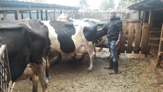 Dairy farm that runs on high-tech software - Business Today Kenya