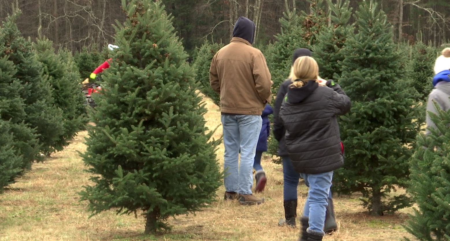 Belchertown Ma News Latest Breaking News Local Story Headline Today Opera News