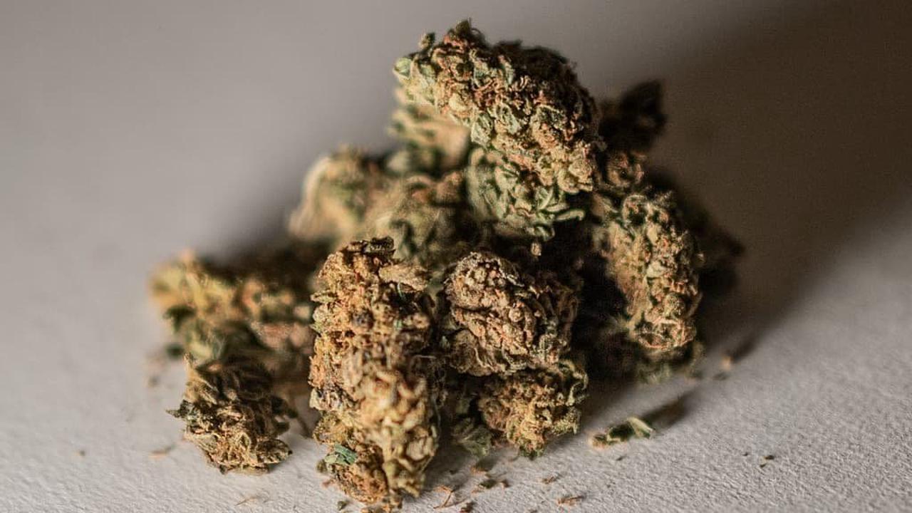 CBD: la filière soulagée après la suspension de l'interdiction de la vente des fleurs de cannabis
