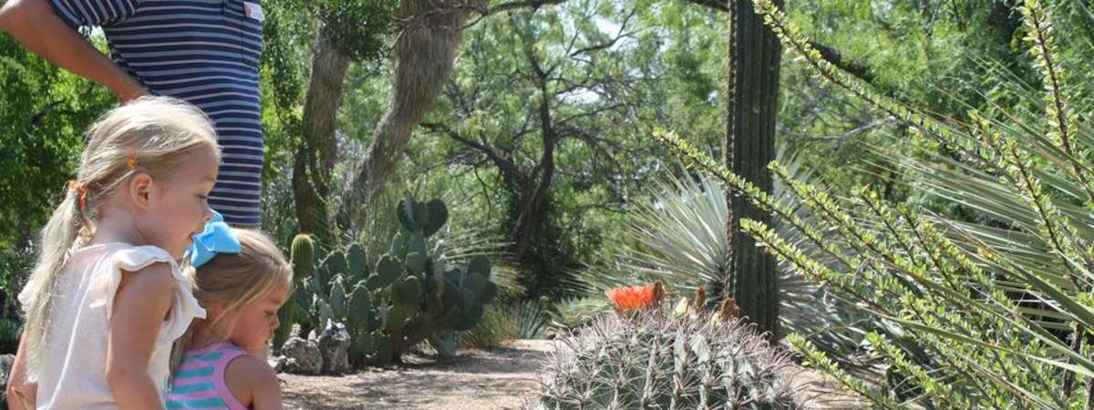Homeschool Day Plants In Everyday Life at San Antonio Botanical Garden