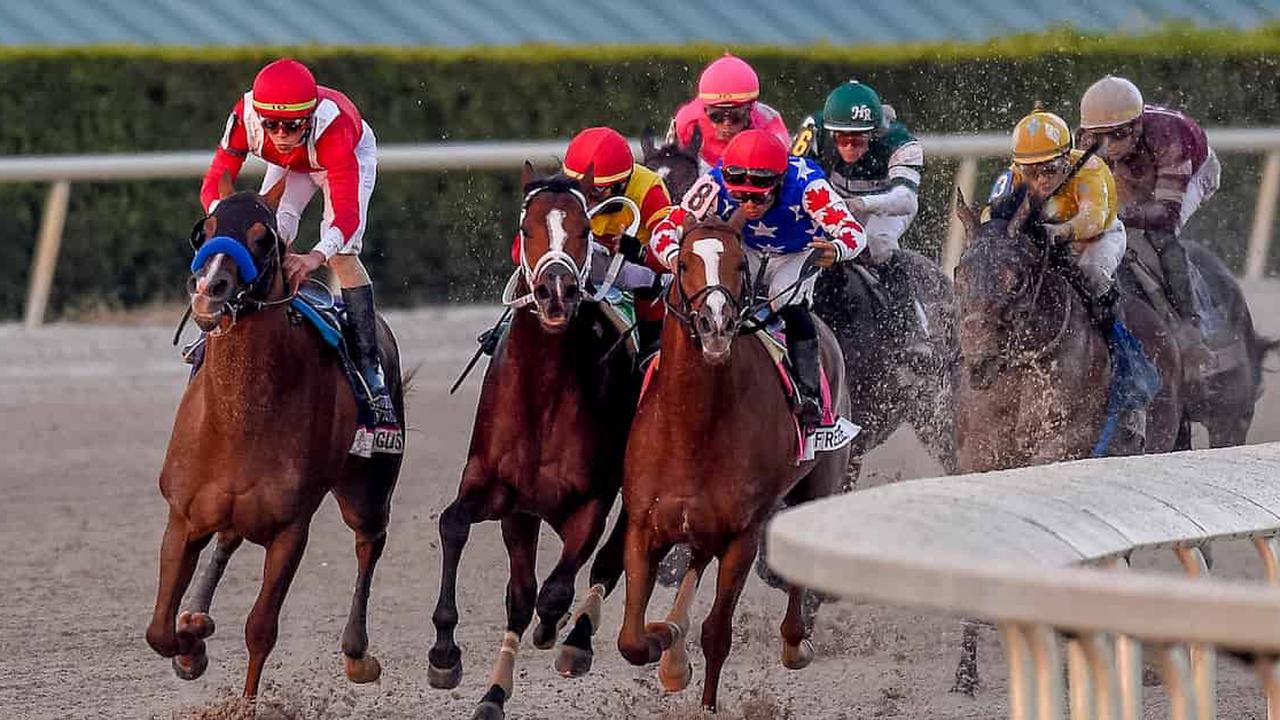 gulfstream park horse racing picks for saturday 1 23 21 opera news
