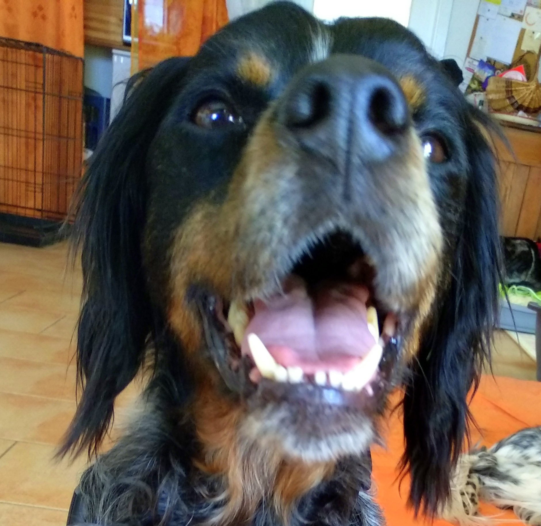 Football Traum Ist Vorzeitig Wahr Geworden Opera News