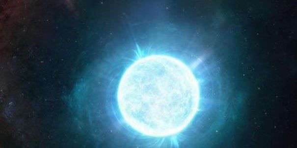 Mollusk Dubbed The Wandering Meatloaf Has Teeth Made From A Rare Iron That Has Never Been Seen In A Living Organism Opera News