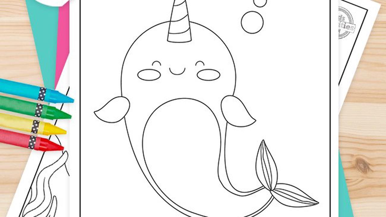 Narwhal Coloring Pages   Opera News