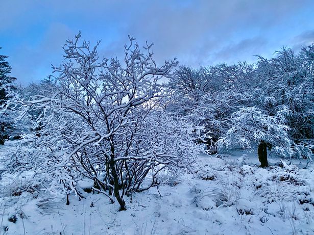 Met Office Verdict On Beast From The East 21 In South West Opera News