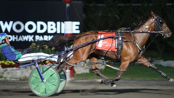 Woodbine Horse Racing App