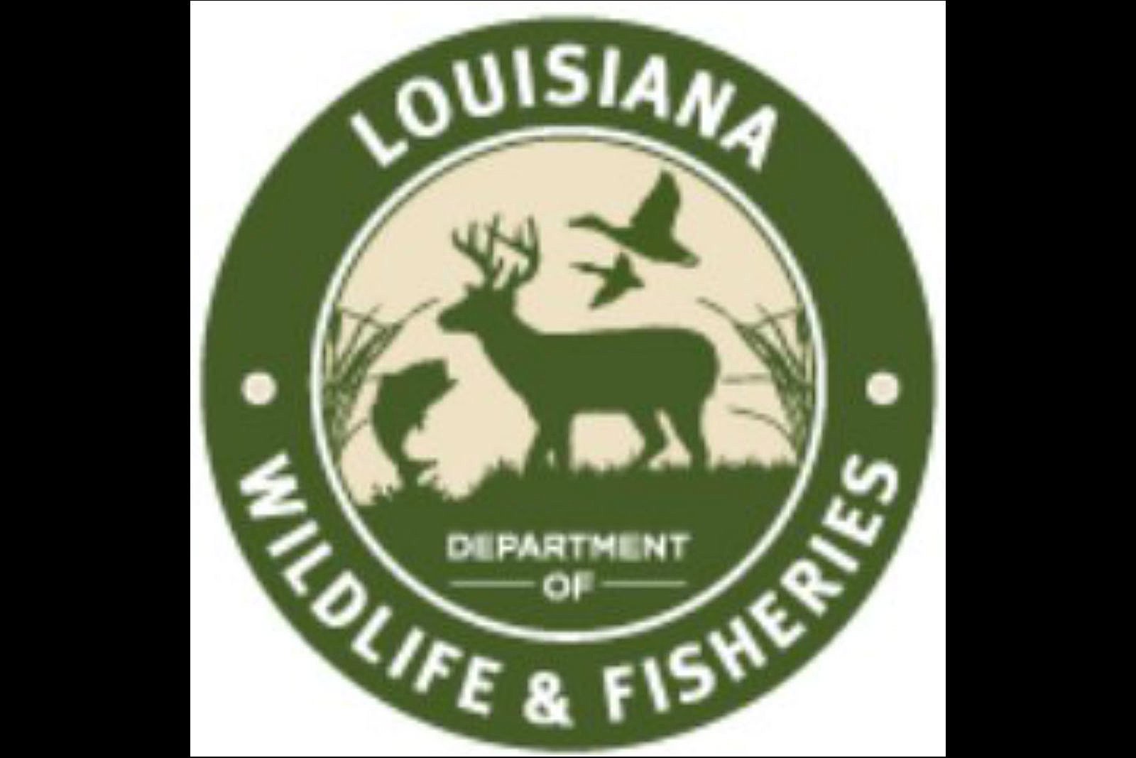 Your Louisiana Hunting and Fishing Licenses Will Go Up in 2022 Opera News