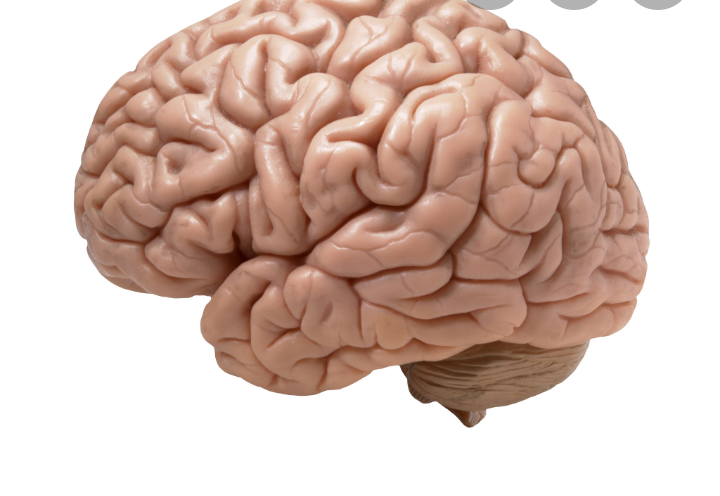 7ce5d4e02356482e60364e50d3ff716e?quality=uhq&format=webp&resize=720&watermark=true