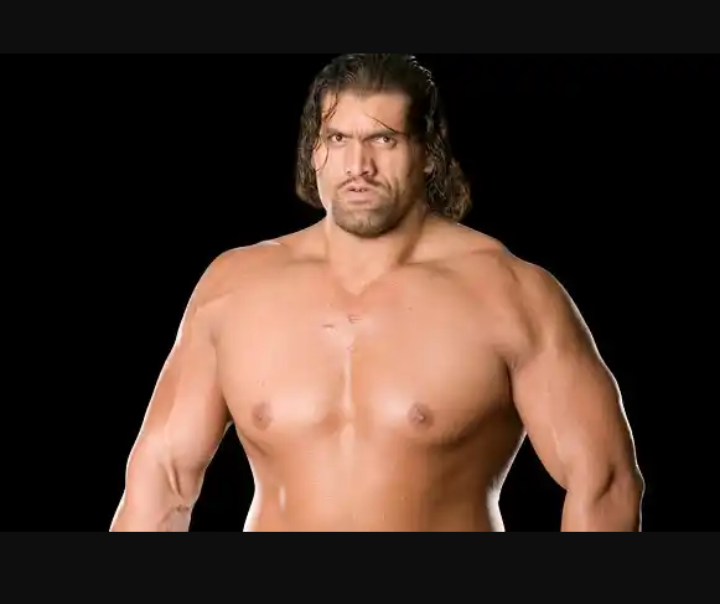 wwe khali fight