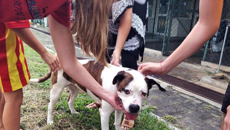 Goodbye Deutschland Die Auswanderer Opera News