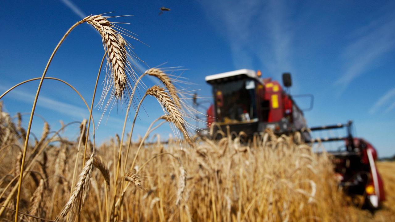 Китай поддержал идею «зеленого коридора» для вывоза зерна с Украины