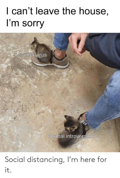 7f9edda2079cf7a16cb991569b6af1c1?quality=uhq&format=webp&resize=720&watermark=true