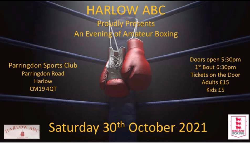 Youtube Vs Tiktok Boxing Date When Is The Fight Between Youtubers And Tiktokers Opera News