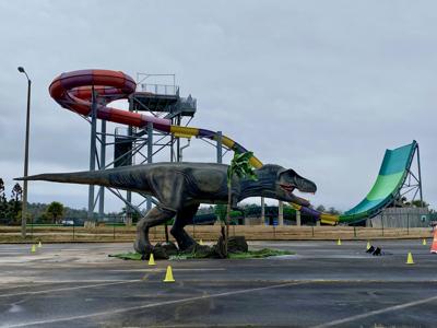 Raleigh Il News Latest Breaking News Local Story Headline Today Opera News