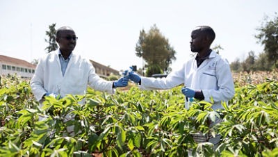 Kenya Economic Update: Transforming Agricultural Productivity to Achieve  Food Security for All