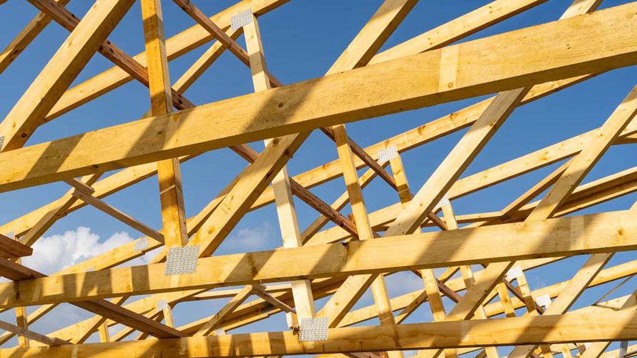Sind Gebäude aus Holz die Zukunft? Christine Buddenbohm und Rainer Kabelitz-Ciré im Interview