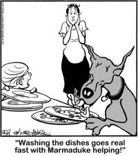 List Of Dvd Release Dates For April And Beyond Opera News