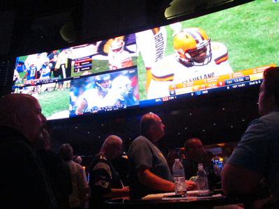 2021 Preakness Stakes Predictions Bets Expert Picks Unveiled For Win Place Show Trifecta Superfecta Opera News