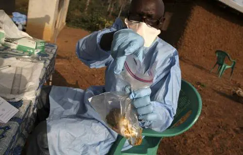 Adamawa confirms one death in Lassa fever outbreak