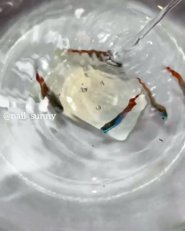 Nail Salon Sparks Outrage For Using Live Fish As Part Of Aquarium Manicure Opera News