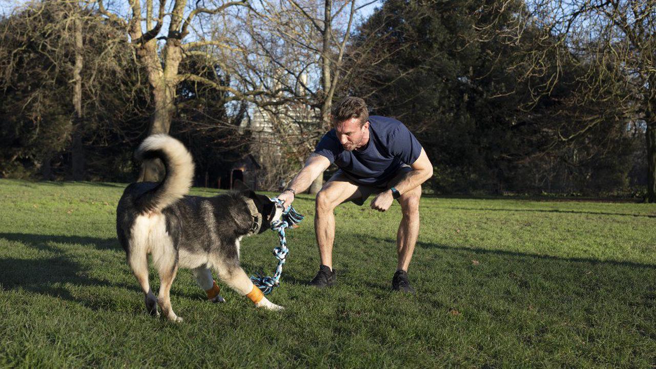 Exclusive: Fitness trainer Luke Worthington designs doggy workouts for health-conscious owners!