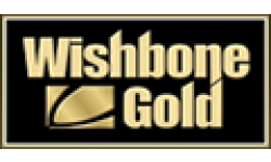 Wishbone Gold Lon Wsbn Stock Crosses Below 200 Day Moving Average Of 9 66 Opera News