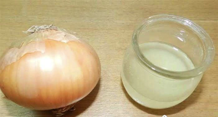 Si aplica jugo de cebolla en el cabello durante un ...