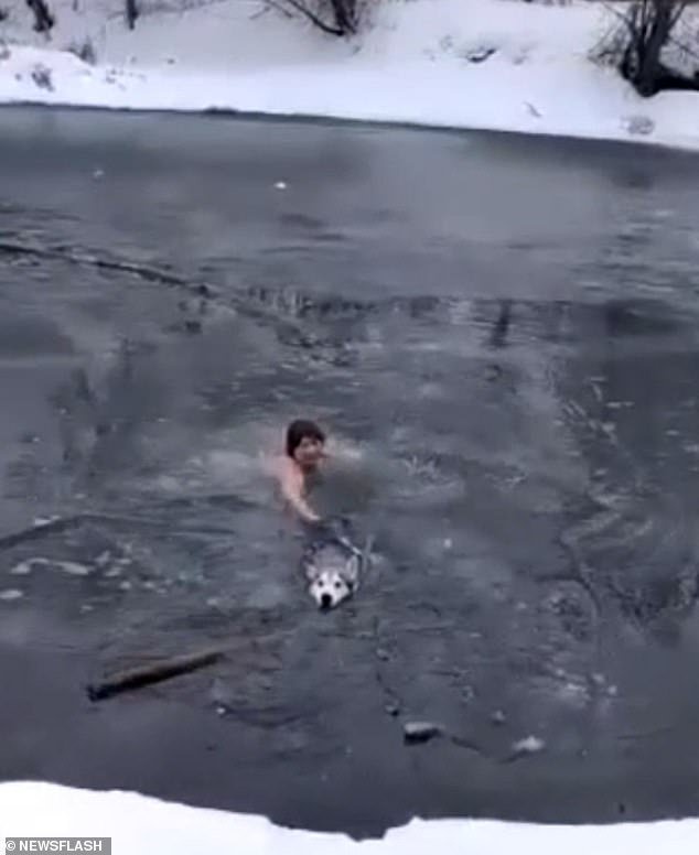 That's brrr-ave! Russian woman, 65, jumps into frozen river in her  underwear to rescue husky trapped in the ice - Opera News