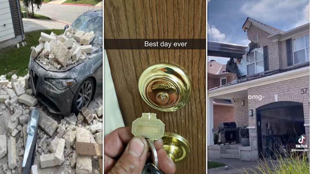 Home is where the hell is! Photos revealing dodgy DIY, freak weather accidents and unwelcome house guests will make you glad you don't live in any of these properties
