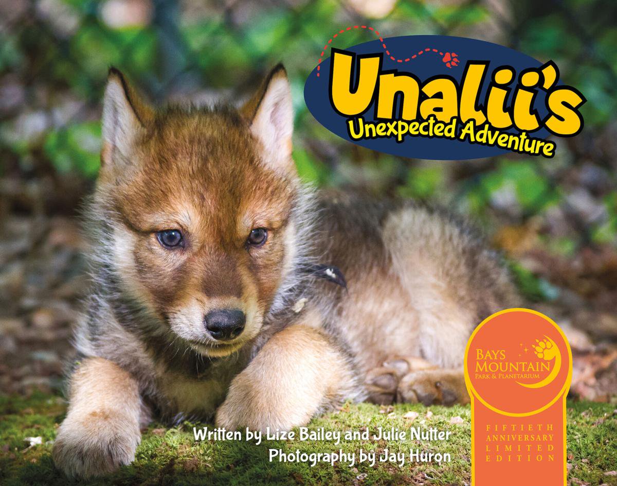 Tennessee Theatre To Lift Mask Requirement Beginning June 1 Opera News