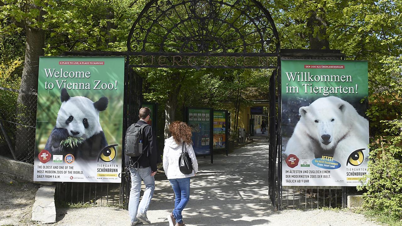 Tiergarten Schönbrunn wieder zum besten Zoo Europas gewählt