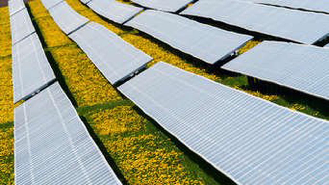 Rosenheim als Vorbild: Fläche für Photovoltaik ankaufen und über 1.000 Haushalte versorgen