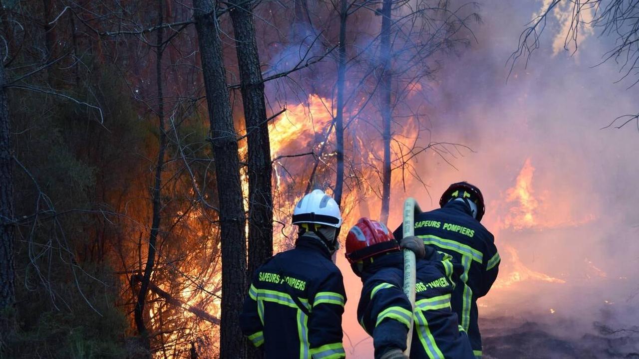 Maine-et-Loire. Cinq hectares de forêt partis en fumée