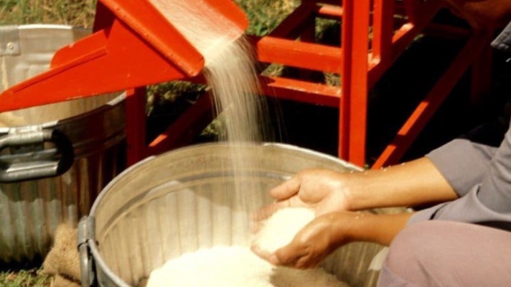 New Rice Mill in North East Region Set to Transform Agriculture and Create 2,000 Jobs.