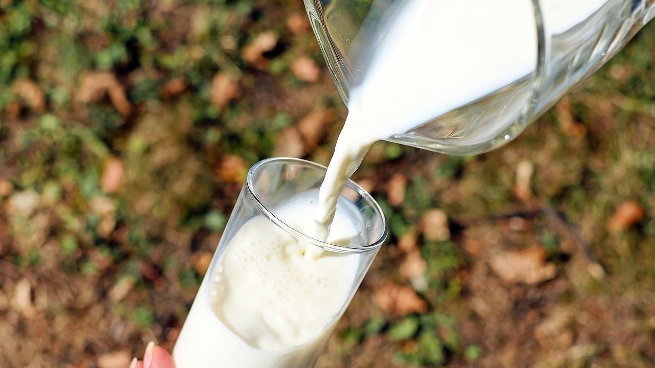 Вице-премьер Абрамченко распорядилась поддержать молочную отрасль, чтобы не допустить роста цен