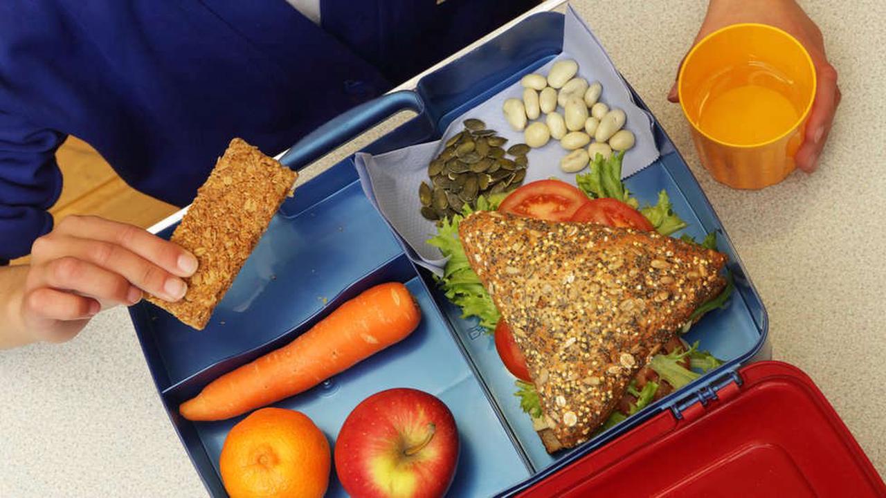 Primary school lunch pilot to continue