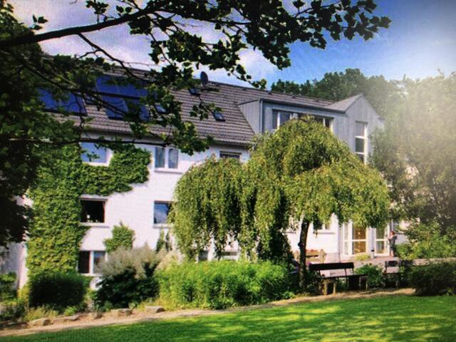 Urlaub 2021 Arche Noah Marienberge Seniorentreff St Suitbert On Tour Opera News