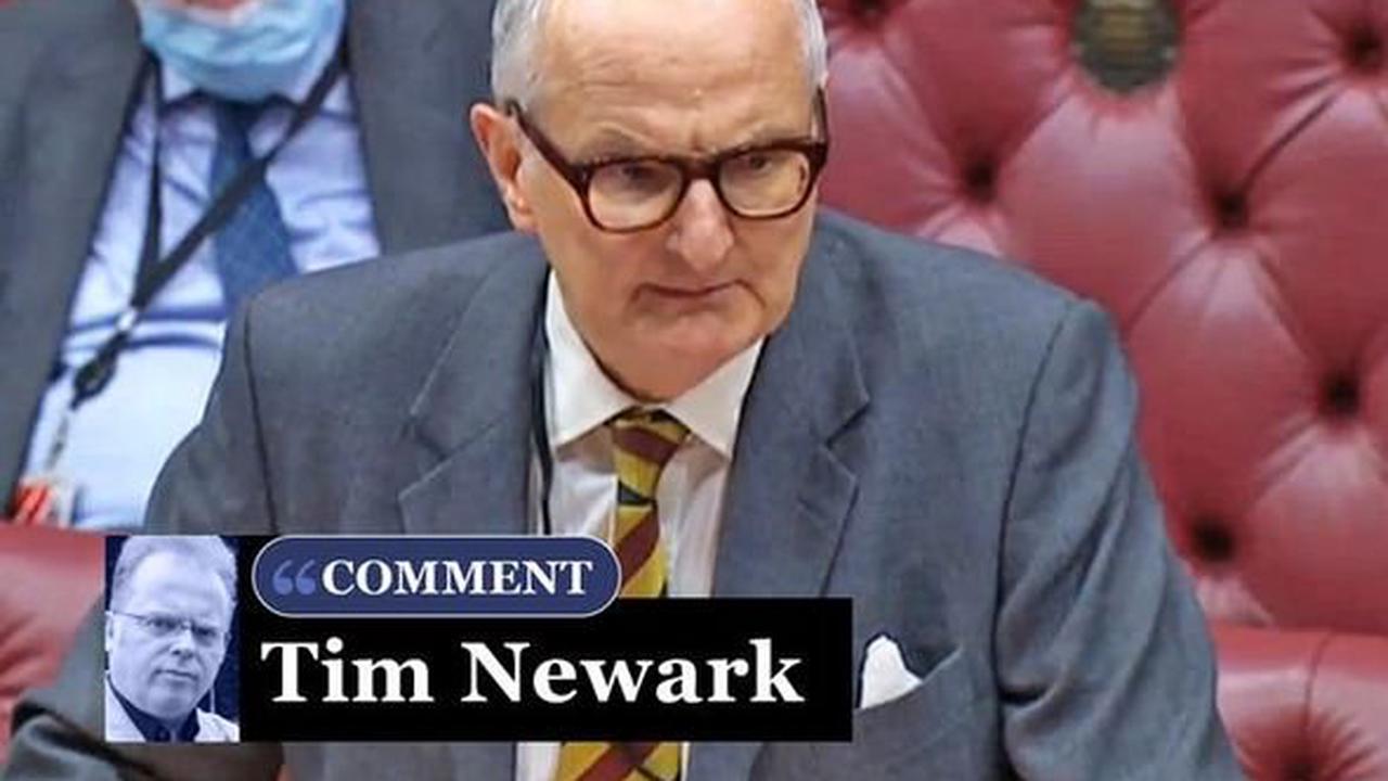 £4.3bn stolen from taxpayers is the real Covid scandal - TIM NEWARK