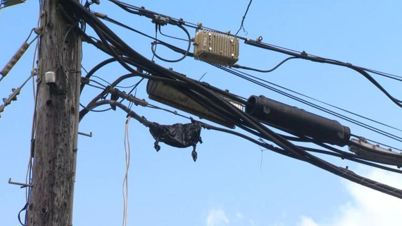 Severed fiber optic cable downs phones, internet in West Hawaii