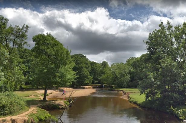 New Forest walk in Brockenhurst ranked the best in the UK for family