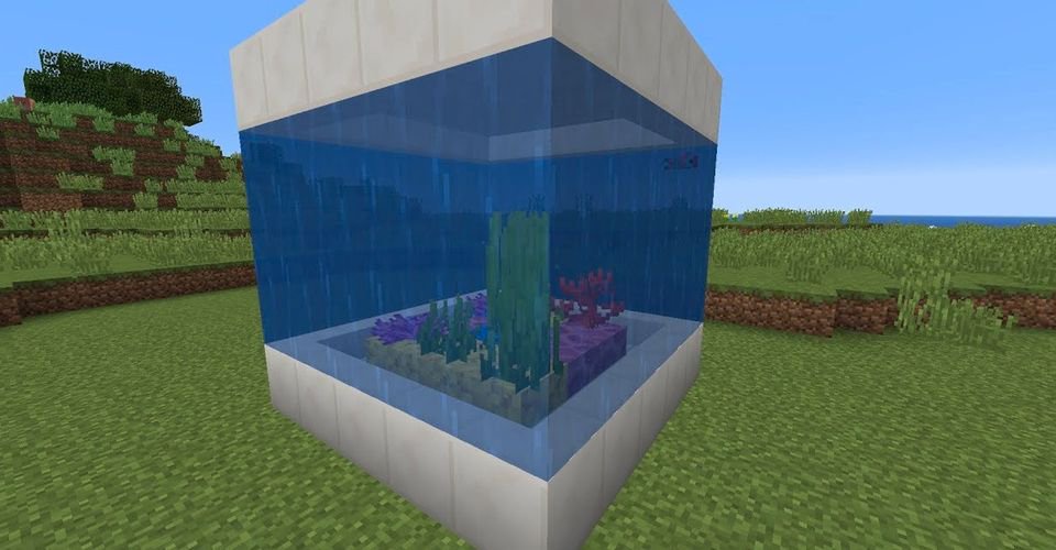 Minecraft Player S Build Turns Viewers Into A Fish Inside A Fish Tank   964618c800c24c6677ffa779696b3ff9