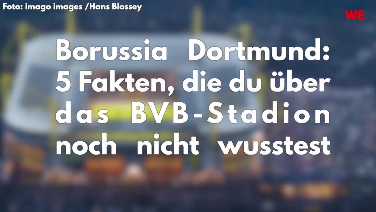 Borussia Dortmund: Nach Rose-Aus – Aussagen vom Hauptsponsor lassen tief blicken