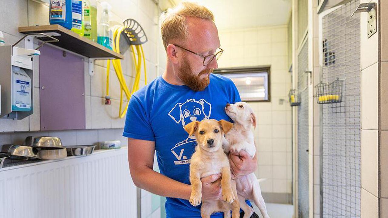Hilferuf: Würzburger Tierheim hat Geldprobleme und braucht dringend Spenden