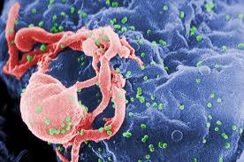 HIV or Cancer, Which Disease Will Get A Cure Sooner
