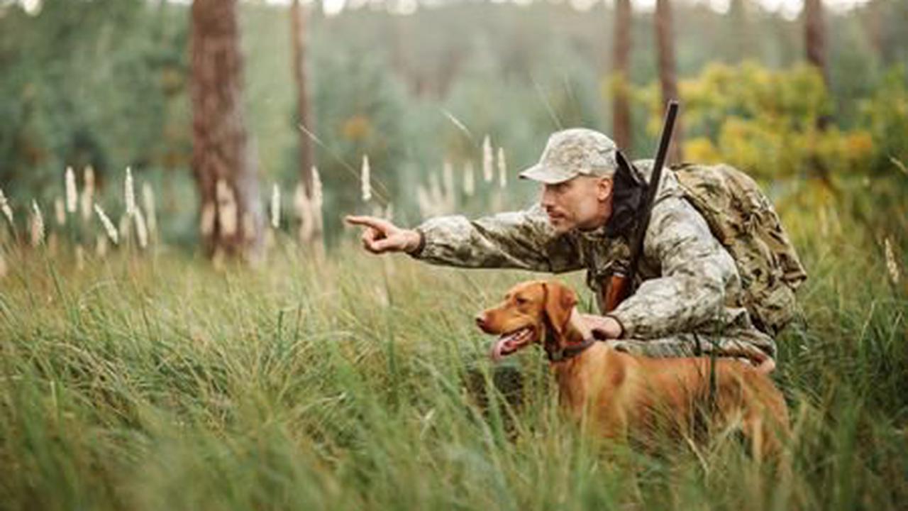 Regierungsrat legt das revidierte Jagdgesetz vor