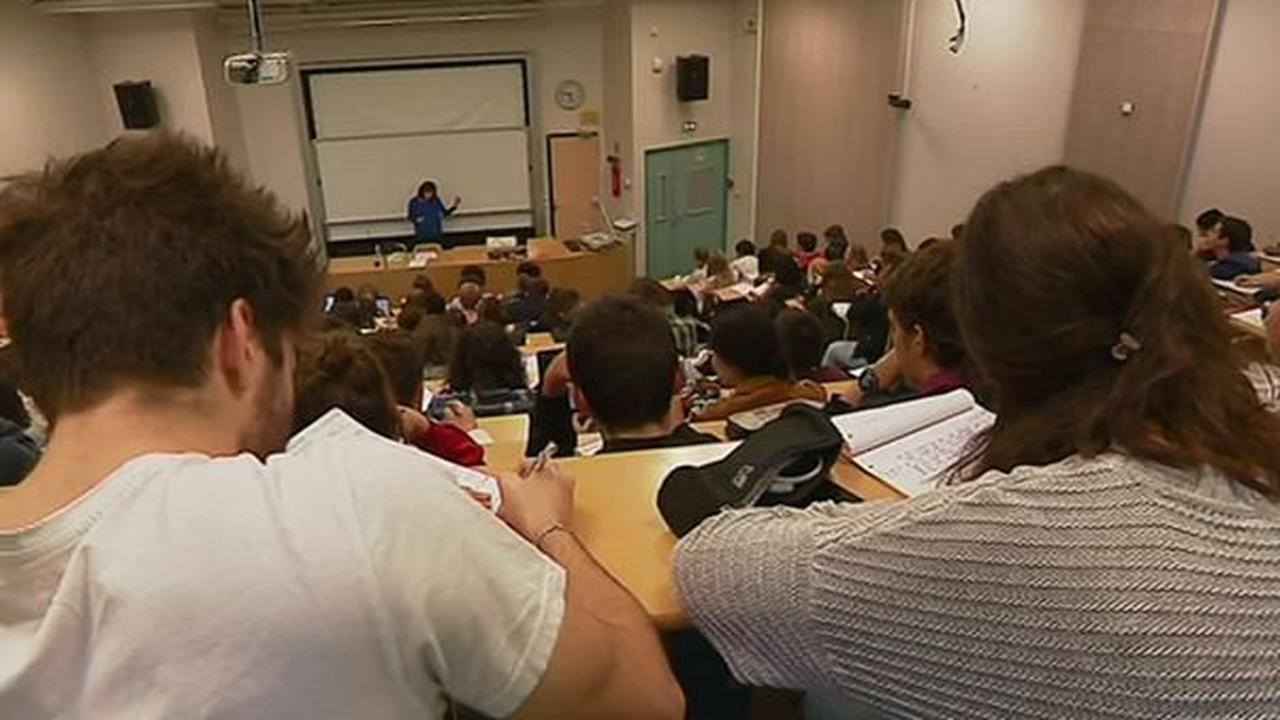 Erasmus fête ses 35 ans : "90 à 95% des étudiants recommanderaient ce programme d'échanges" annonce l’Université de Limoges